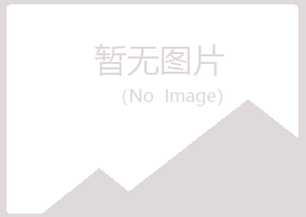 山西夏岚建设有限公司